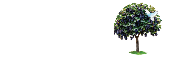 EL SHADDAI TREE OF LIFE ALLIANCE